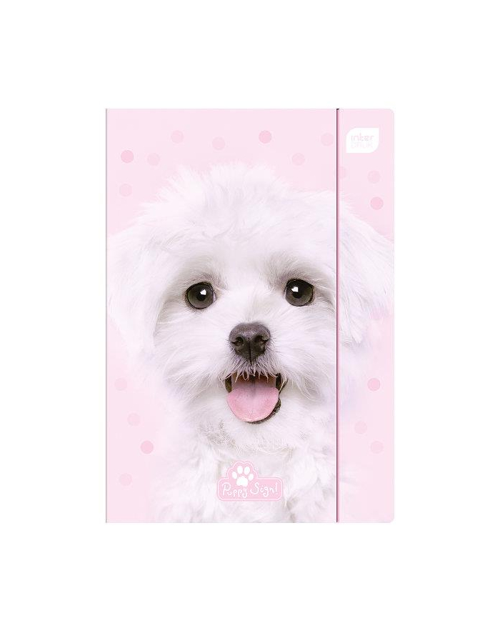 Teczka z gumką A4+ LUX UV kolekcja puppy sign INTERDRUK główny