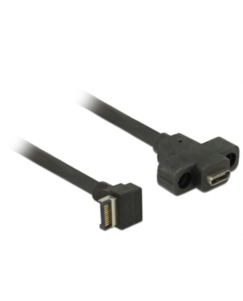 Kabel USB 3.1 Delock Key-A 20-pin - C(F) 0,45m panel mount