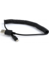 Kabel USB/iPhone Gembird USB A(M) - Lightning 8-pin (Ipad Air, Iphone 5/6) 1,5m czarny - nr 10