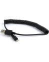 Kabel USB/iPhone Gembird USB A(M) - Lightning 8-pin (Ipad Air, Iphone 5/6) 1,5m czarny - nr 17