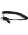 Kabel USB/iPhone Gembird USB A(M) - Lightning 8-pin (Ipad Air, Iphone 5/6) 1,5m czarny - nr 19