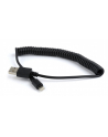 Kabel USB/iPhone Gembird USB A(M) - Lightning 8-pin (Ipad Air, Iphone 5/6) 1,5m czarny - nr 20