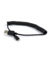 Kabel USB/iPhone Gembird USB A(M) - Lightning 8-pin (Ipad Air, Iphone 5/6) 1,5m czarny - nr 4
