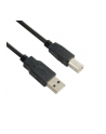 4World Kabel USB 2.0 typu A-B M/M 3.0 m High Quality, ferryt - retail - nr 5