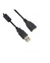 4World Kabel przedłużajacy USB 2.0 typu A-A M/F 5.0 m HQ, ferryt - retail - nr 7