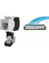 assmann Moduł Keystone RJ45 kat.6 UTP LSA, beznarzędziowy - nr 23