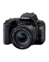 Canon EOS 200D KIT (18-55 mm IS STM) - nr 25