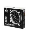 Arctic BioniX F120 white 120mm - nr 13