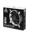 Arctic BioniX F120 white 120mm - nr 19