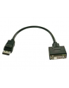 fujitsu Display Port/ DVI adapter cable - nr 1