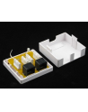 Netrack gniazdo kompletne natynkowe 2xRJ45 8p8c UTP Cat6 LSA - nr 4