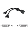 matrox Kabel LFH-60-to-Dual DVI-I - nr 1