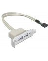 Delock gniazdo na śledziu USB 2.0 x2  Low Profile - nr 6