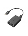 Lenovo DisplayPort to Dual-DisplayPort Monitor Cable - nr 7