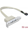 Delock gniazdo na śledziu USB 2.0 x2  Low Profile - nr 13