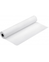 Papier Epson Proofing Paper White Semimatte | 250g/m2 | 17'' x 30,5m | 1 rolka - nr 7