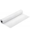 Papier Epson Proofing Paper White Semimatte | 250g/m2 | 17'' x 30,5m | 1 rolka - nr 8