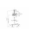 digitus Stojak mobilny pojedynczy z półką, 1xLCD, max. 70'', max. 50kg, VESA max. 600x400 - nr 34
