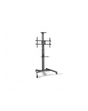 digitus Stojak mobilny pojedynczy z półką, 1xLCD, max. 70'', max. 50kg, VESA max. 600x400 - nr 69