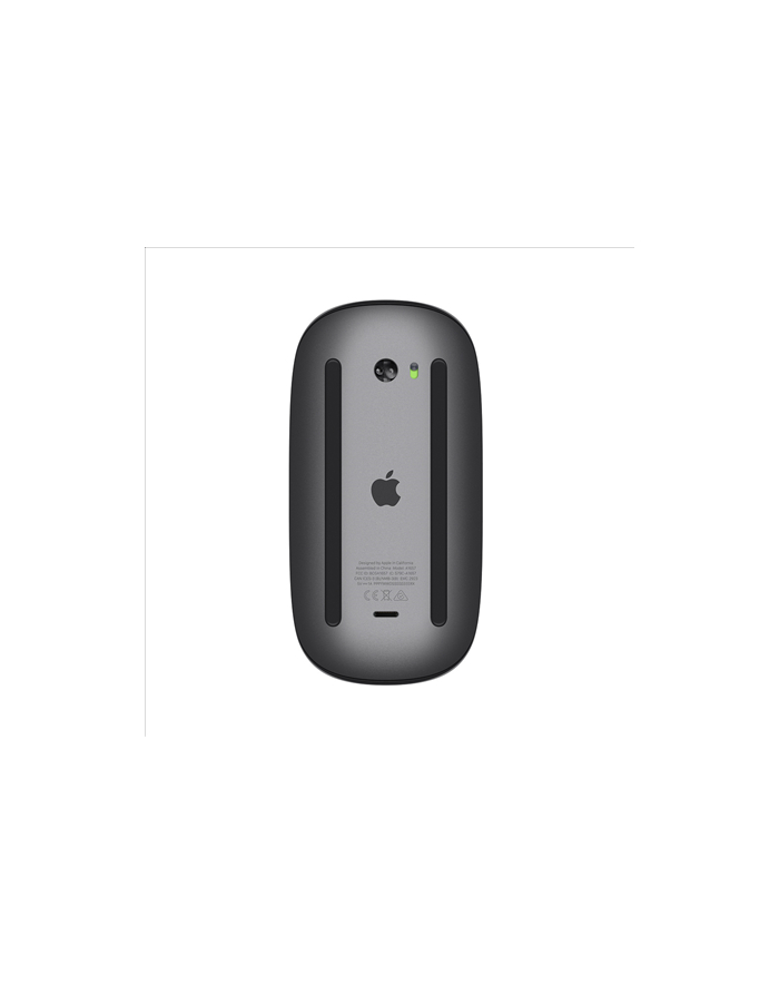 apple Magic Mouse 2 - Space Grey główny