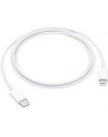 apple Kabel Lightning na USB-C 1m - nr 11