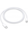 apple Kabel Lightning na USB-C 1m - nr 19
