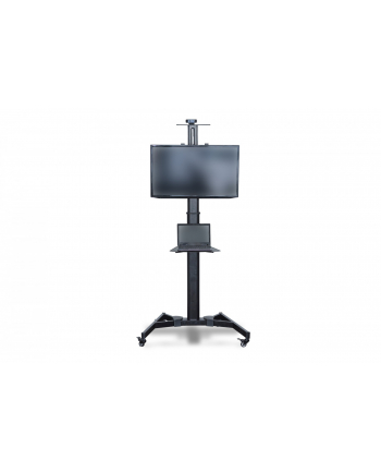 digitus Stojak mobilny pojedynczy z półką, 1xLCD, max. 70', max. 50kg, VESA max. 600x400 nr 2
