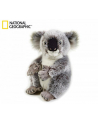 dante Koala 70708 - nr 1