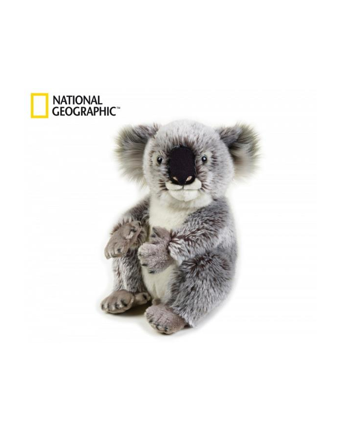 dante Koala 70708 główny