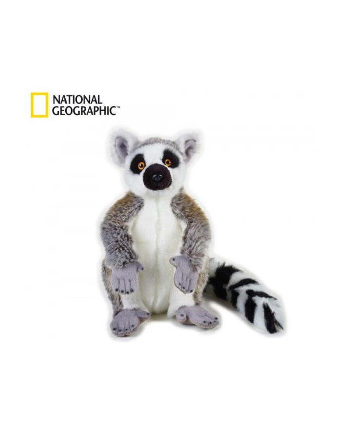 dante Lemur 70757 główny