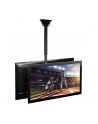 techly Podwójny uchwyt sufitowy 2x TV LCD/LED 32-55cali 90kg regulowany - nr 22