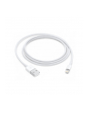 apple Kabel Lightning na USB (1m) - nr 10
