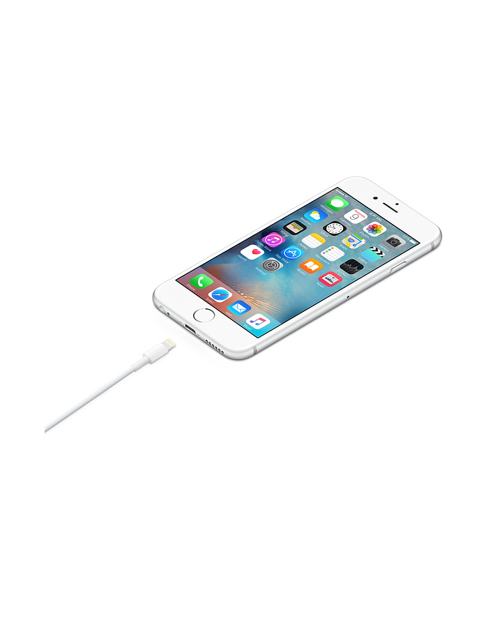 apple Kabel Lightning na USB (1m) główny