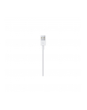 apple Kabel Lightning na USB (1m) - nr 16