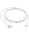 apple Kabel Lightning na USB (1m) - nr 19