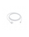 apple Kabel Lightning na USB (1m) - nr 21