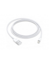 apple Kabel Lightning na USB (1m) - nr 22