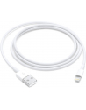 apple Kabel Lightning na USB (1m) - nr 25