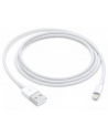 apple Kabel Lightning na USB (1m) - nr 29