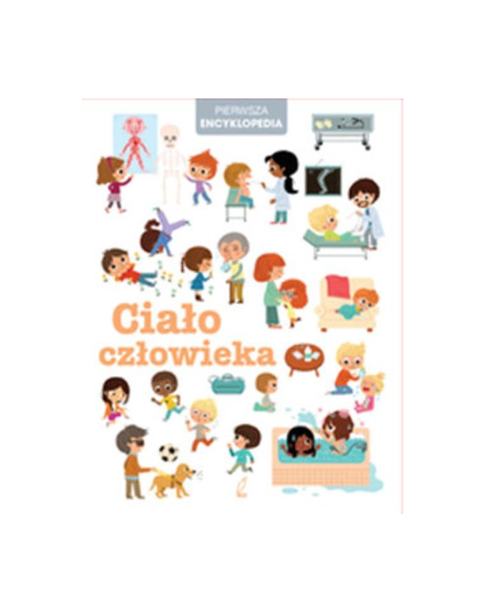 foksal Książ. Moja pierwsza encyklopedia. Ciało człowieka główny