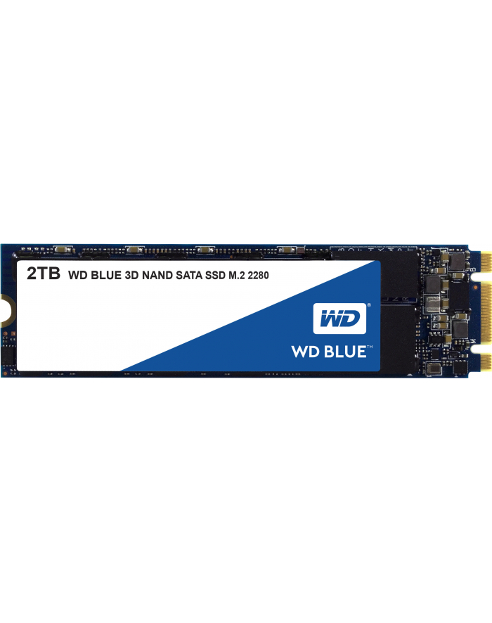 western digital Dysk Blue SSD 2TB M.2 2280 WDS200T2B0B główny