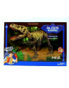 geoworld - nauka GEOWORLD Tyranosaurus Rex zestaw CL1647K - nr 1