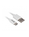 Sharkoon USB 2.0 A - USB C Adapter - white - 3m - nr 1