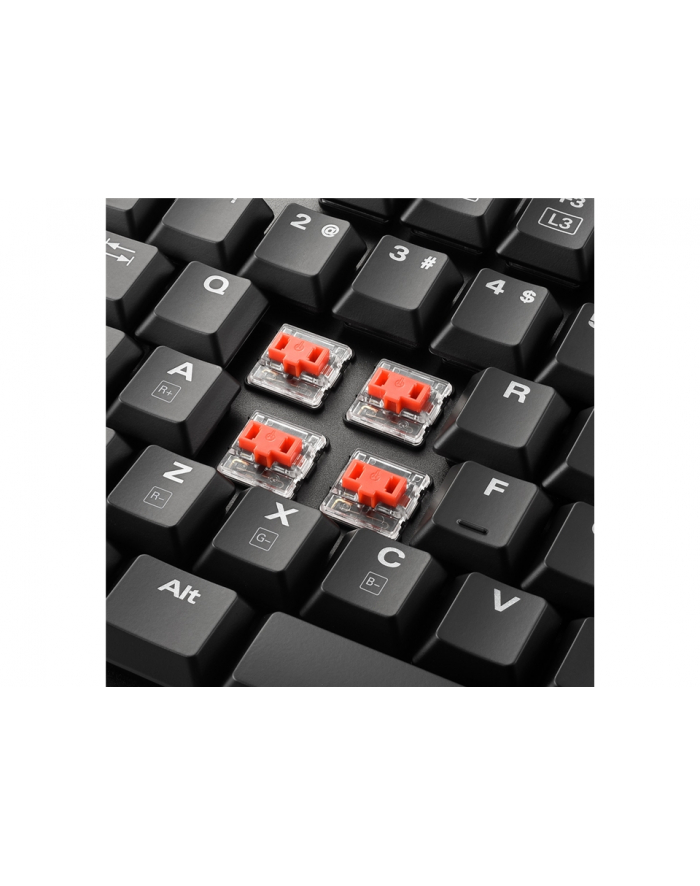 Sharkoon PureWriter TKL RGB - Low Profile - Mechanical - Kailh Red US-Layout główny