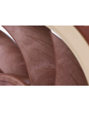 Noctua NF-A12x25 FLX 120x120x25 - nr 63