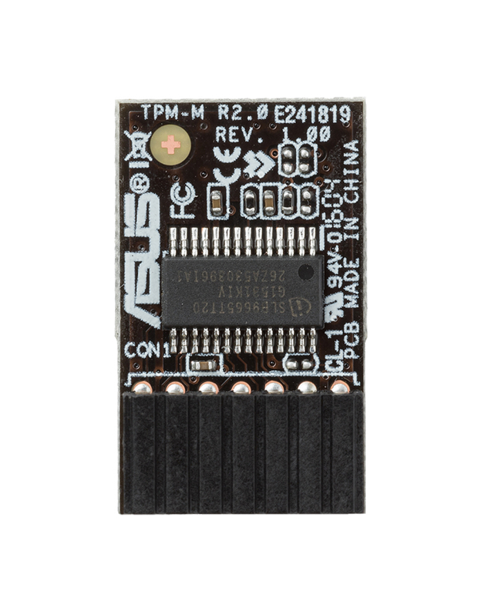 ASUS TPM-M R2.0 główny