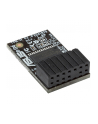ASUS TPM-M R2.0 - nr 19
