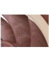 Noctua NF-A12x25 ULN 120x120x25 - nr 14
