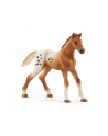 Schleich Horse Club Lisas Tournament Train. - 42433 - nr 10