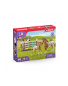 Schleich Horse Club Lisas Tournament Train. - 42433 - nr 11